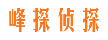 赤坎市私家侦探